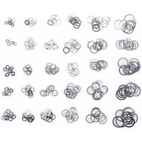 BGS TECHNIC Sort. Dichtring